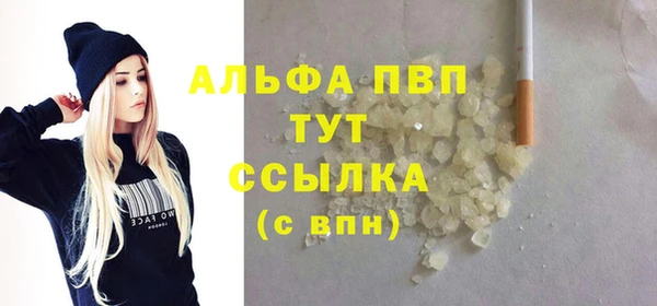 прущие грибы Бердск