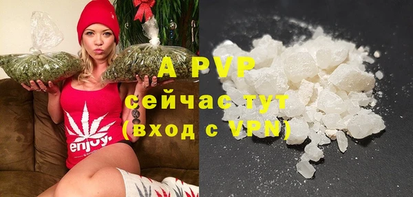 ПСИЛОЦИБИНОВЫЕ ГРИБЫ Приозерск