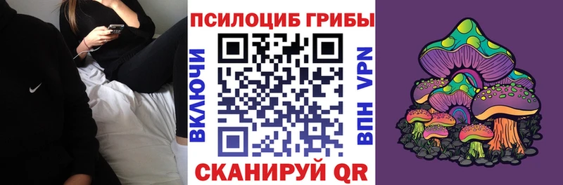 Псилоцибиновые грибы мицелий  наркошоп  Анива 